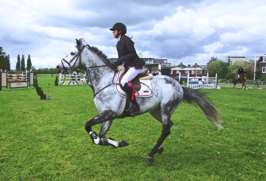 horse